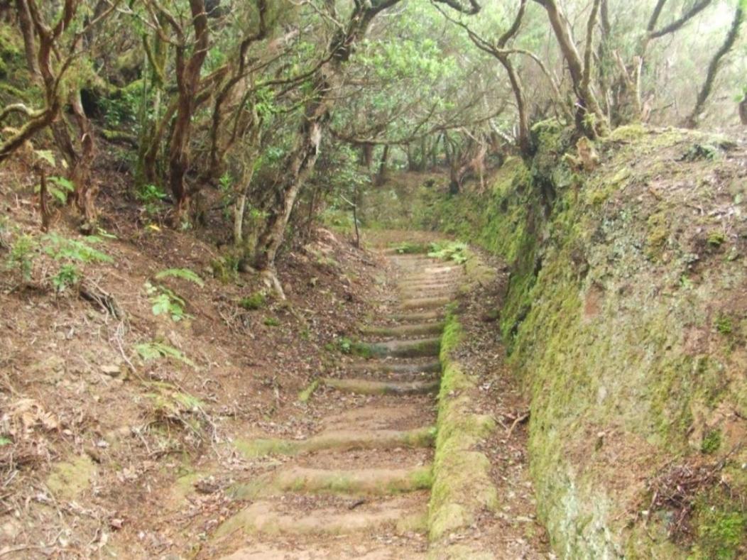 Casa Del Cu Bano B- Biosphere Reserve Leilighet Santa Cruz de Tenerife Eksteriør bilde